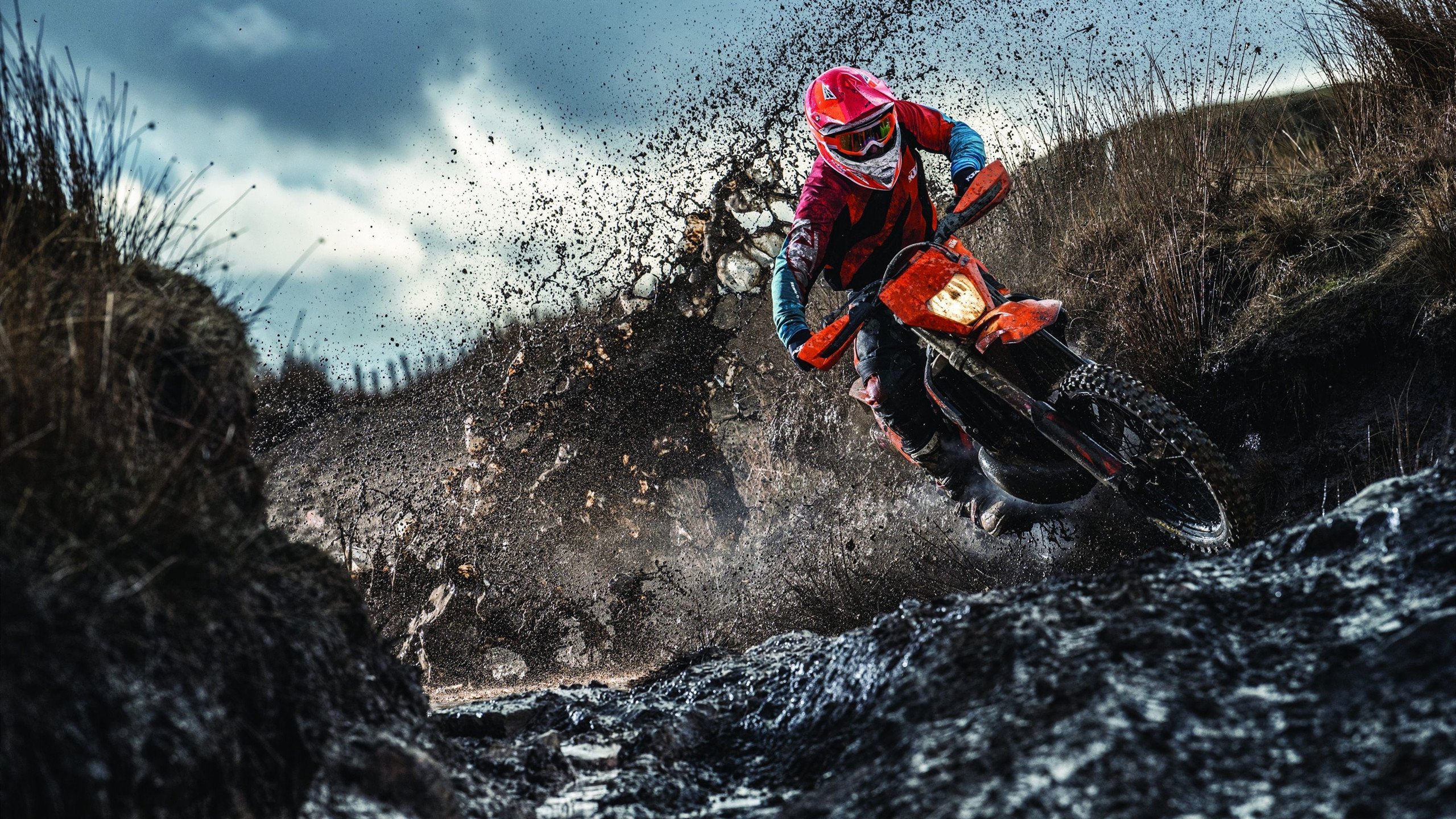 当未来降临，文班亚马的统治之夜，猛龙与尼克斯见证新纪元